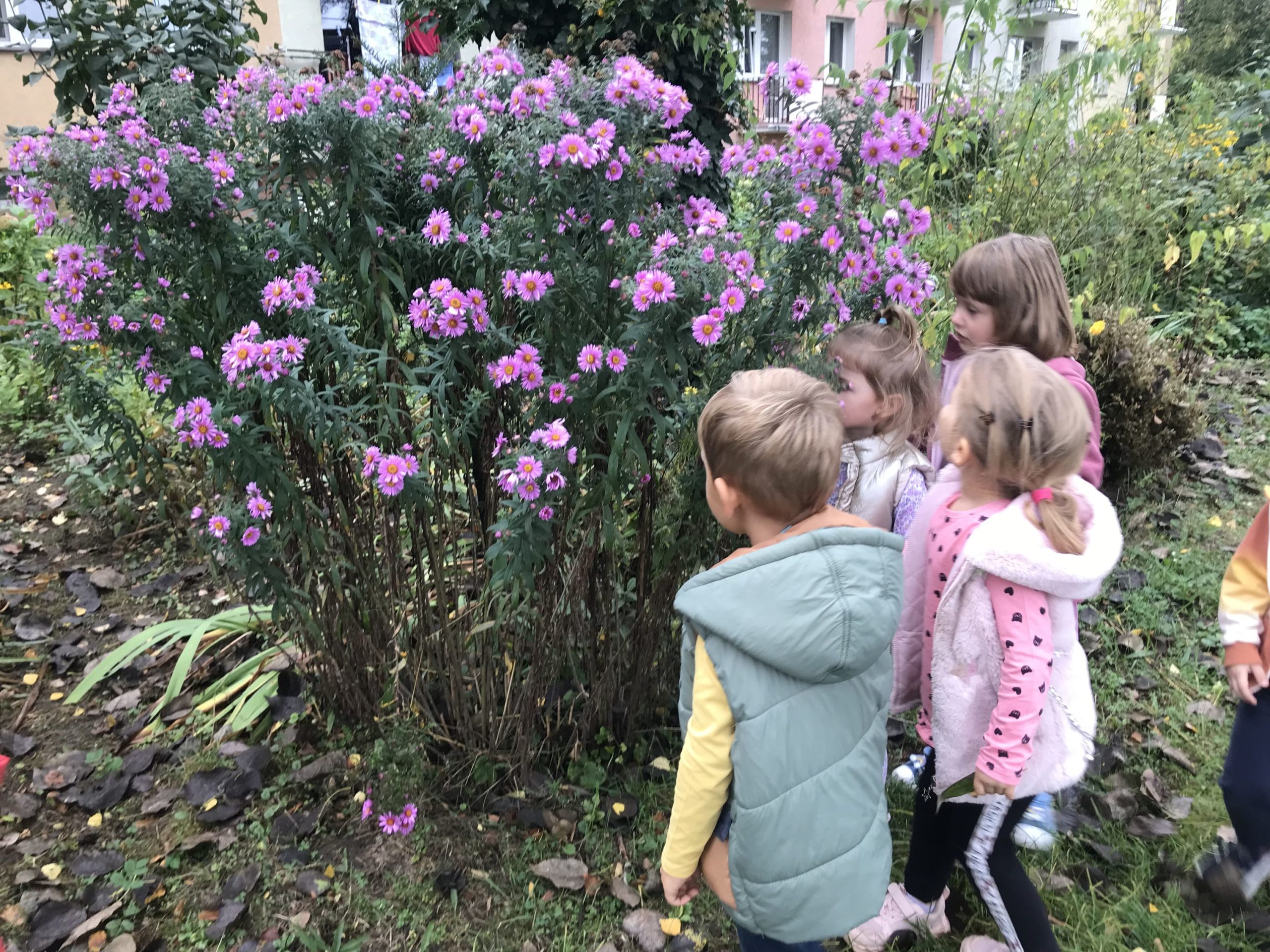 Kolorowy świat Jesieni – szukamy pierwszych oznak jesieni
