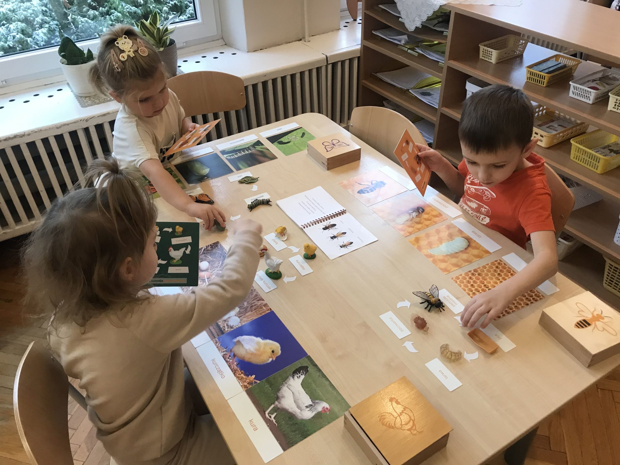 Wychowanie kosmiczne w pedagogice M. Montessori